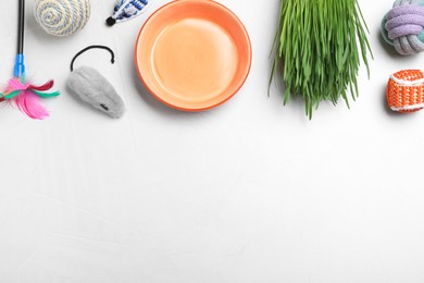 Photo of Different pet toys and feeding bowl on white background, top view. Space for text