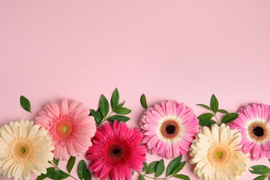 Flat lay composition with beautiful bright gerbera flowers on color background, top view. Space for text