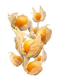 Ripe orange physalis fruits with calyx falling on white background