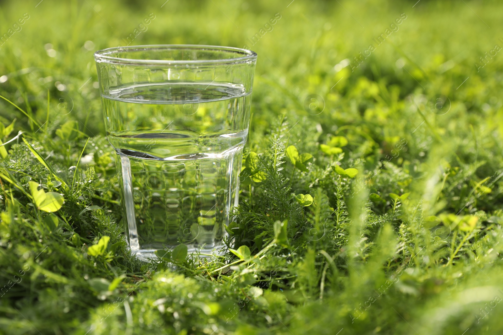 Photo of Glass of fresh water on green grass outdoors, closeup. Space for text