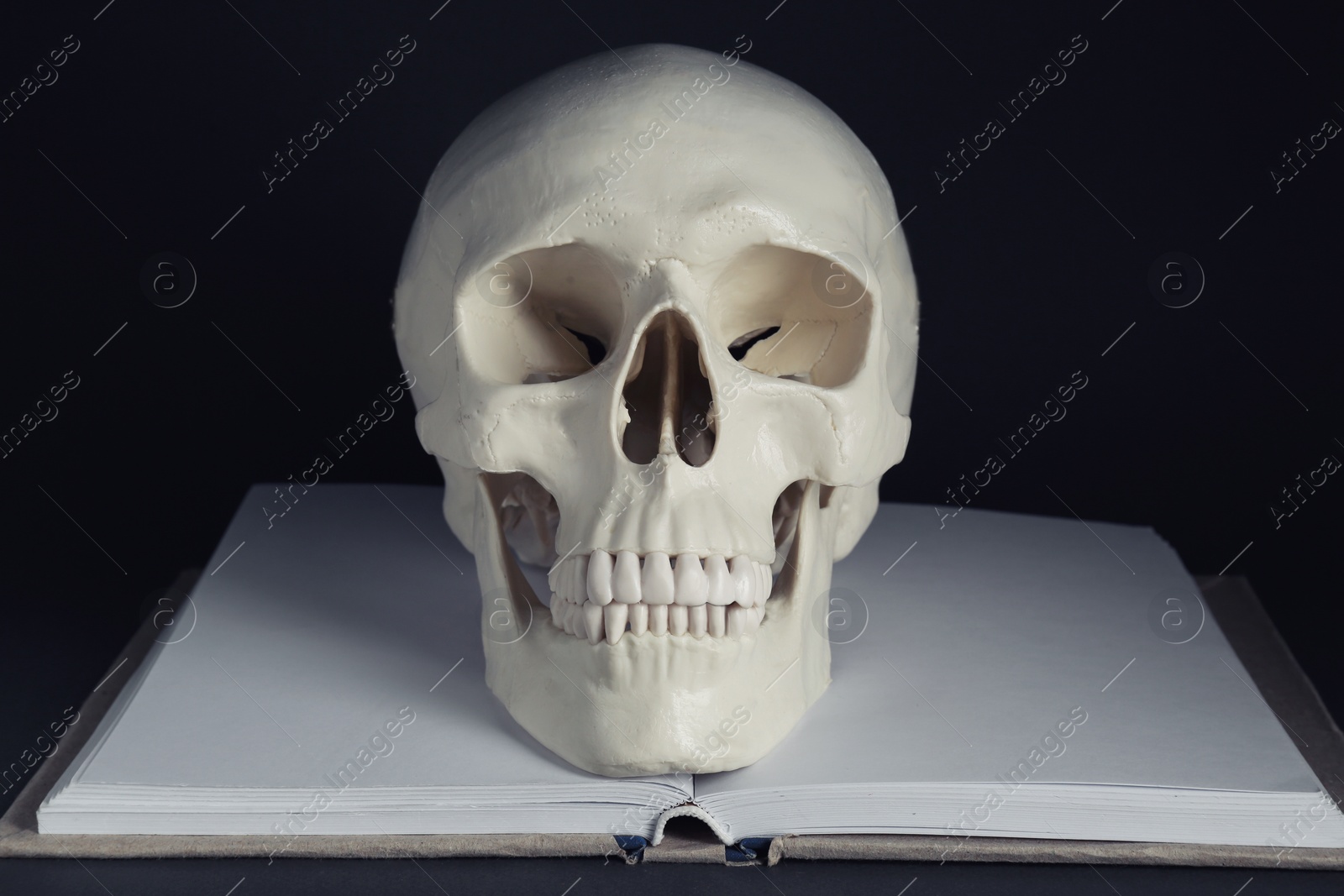 Photo of White human skull with book on black background