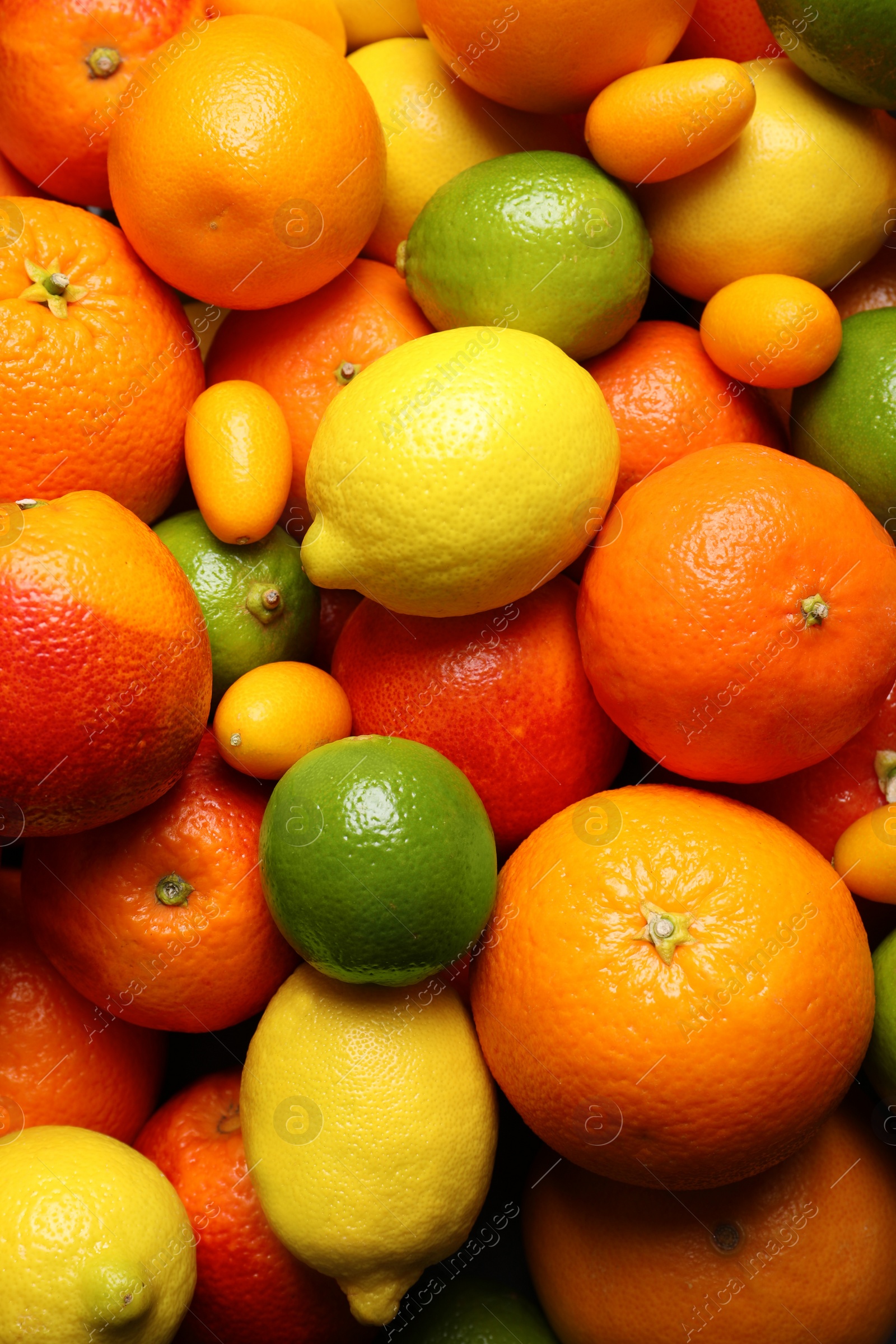 Photo of Different ripe citrus fruits as background, closeup