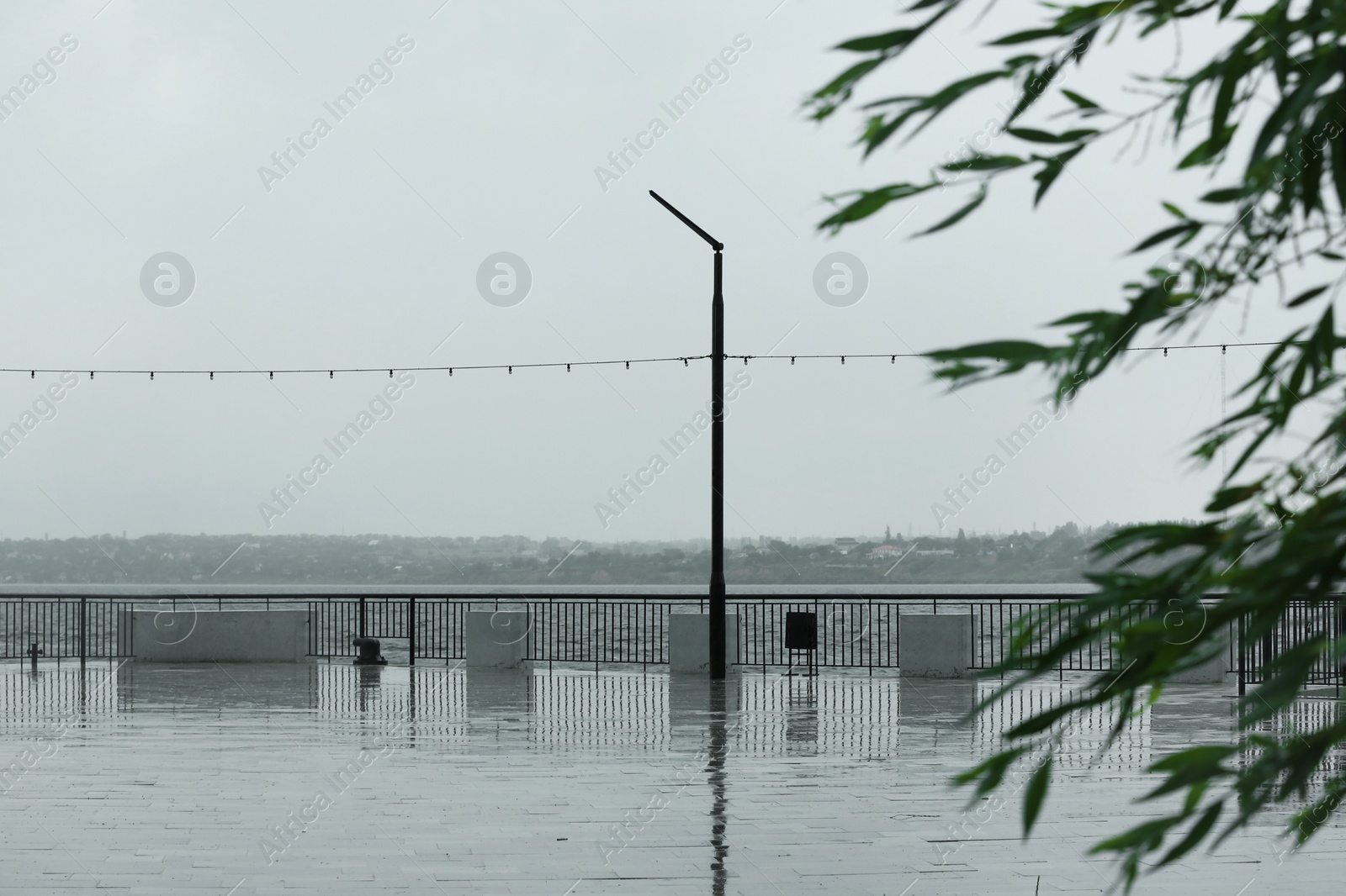 Photo of City embankment on rainy day, focus on tree branches