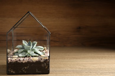 Photo of Glass florarium vase with succulent on wooden table, space for text