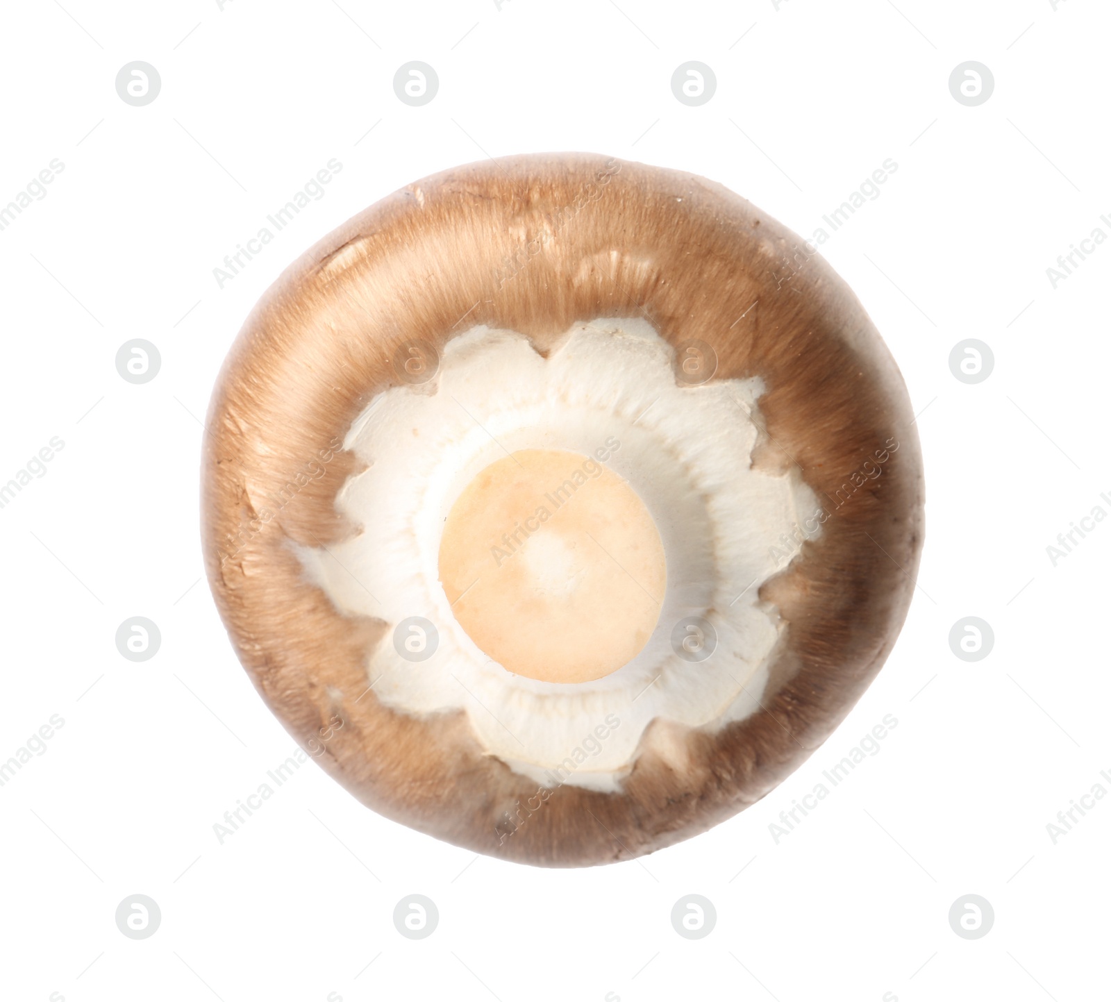 Photo of Fresh champignon mushroom isolated on white. Healthy food