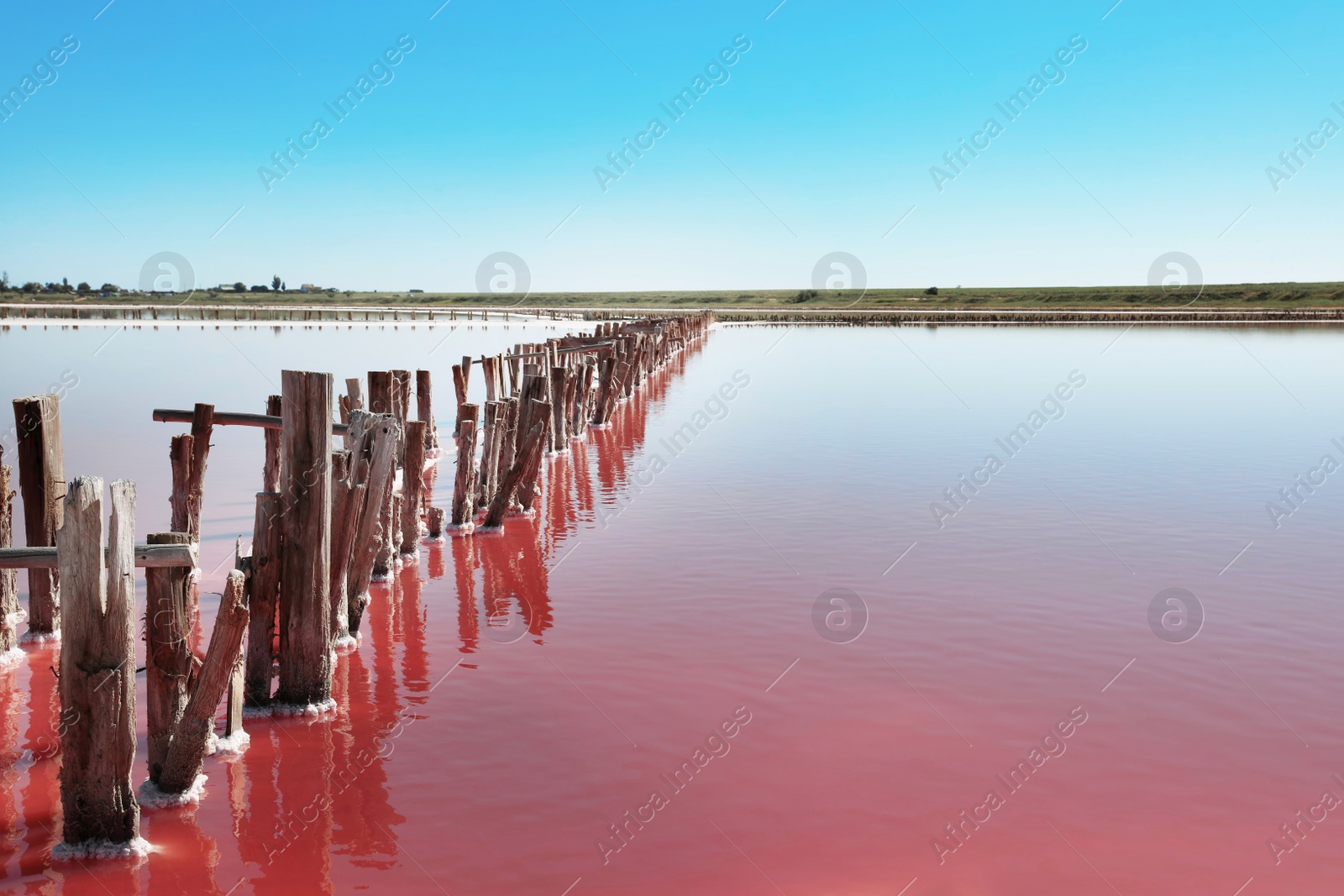 Photo of Beautiful view of pink lake on summer day