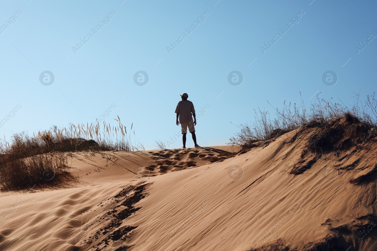 Photo of Man in desert on sunny day, back view