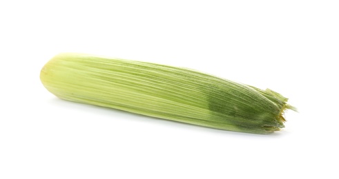 Photo of Tasty sweet corn cob on white background