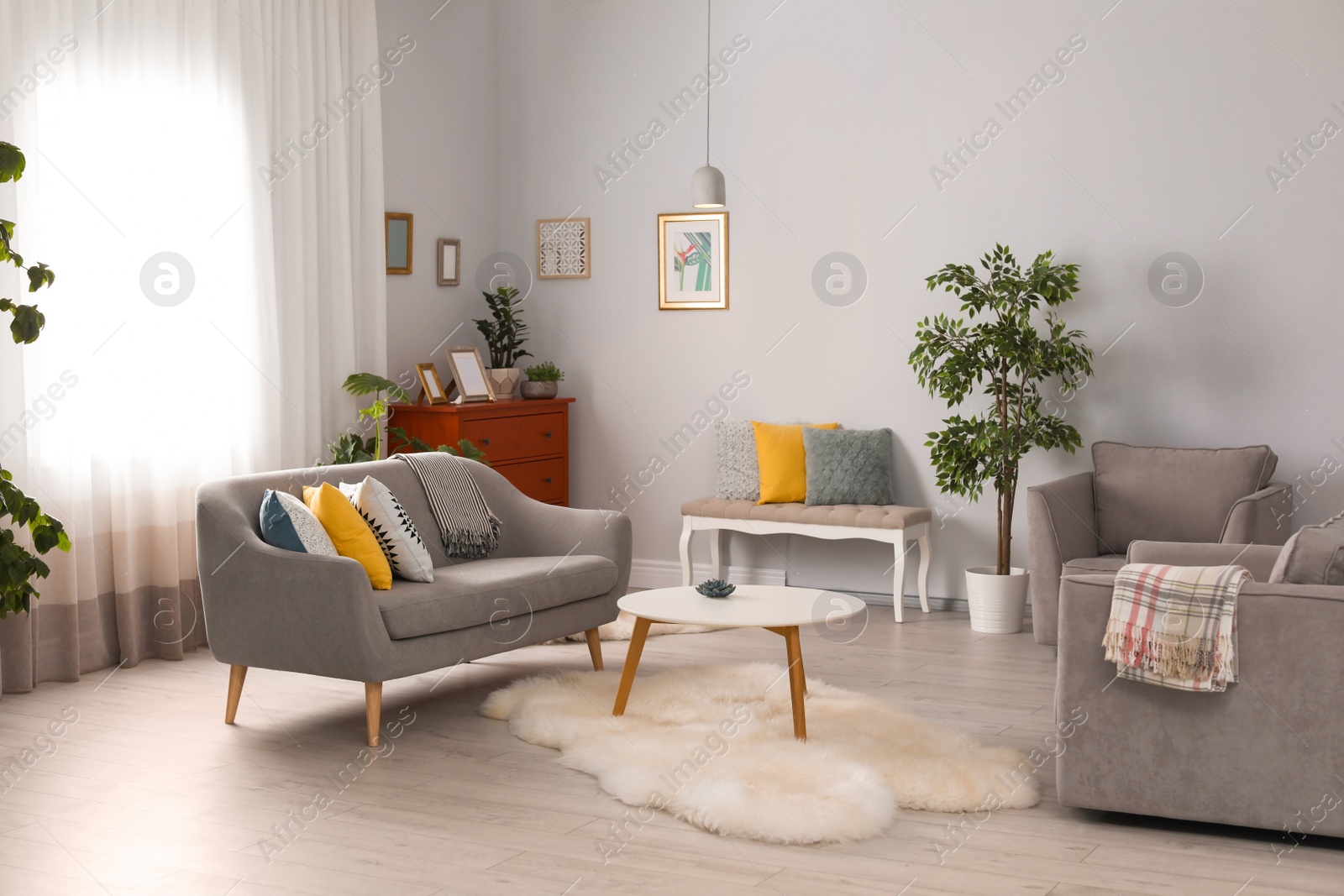 Photo of Elegant living room interior with comfortable sofa and armchairs