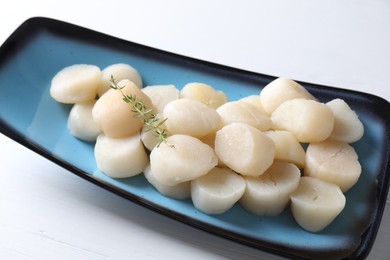 Fresh raw scallops and thyme on white wooden table