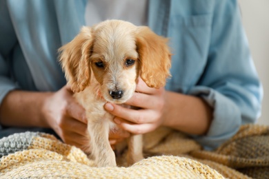 Photo of Owner with cute English Cocker Spaniel puppy, closeup