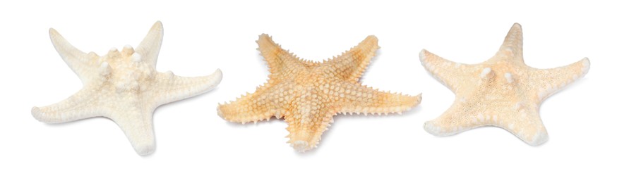 Image of Set with beautiful sea stars on white background. Banner design