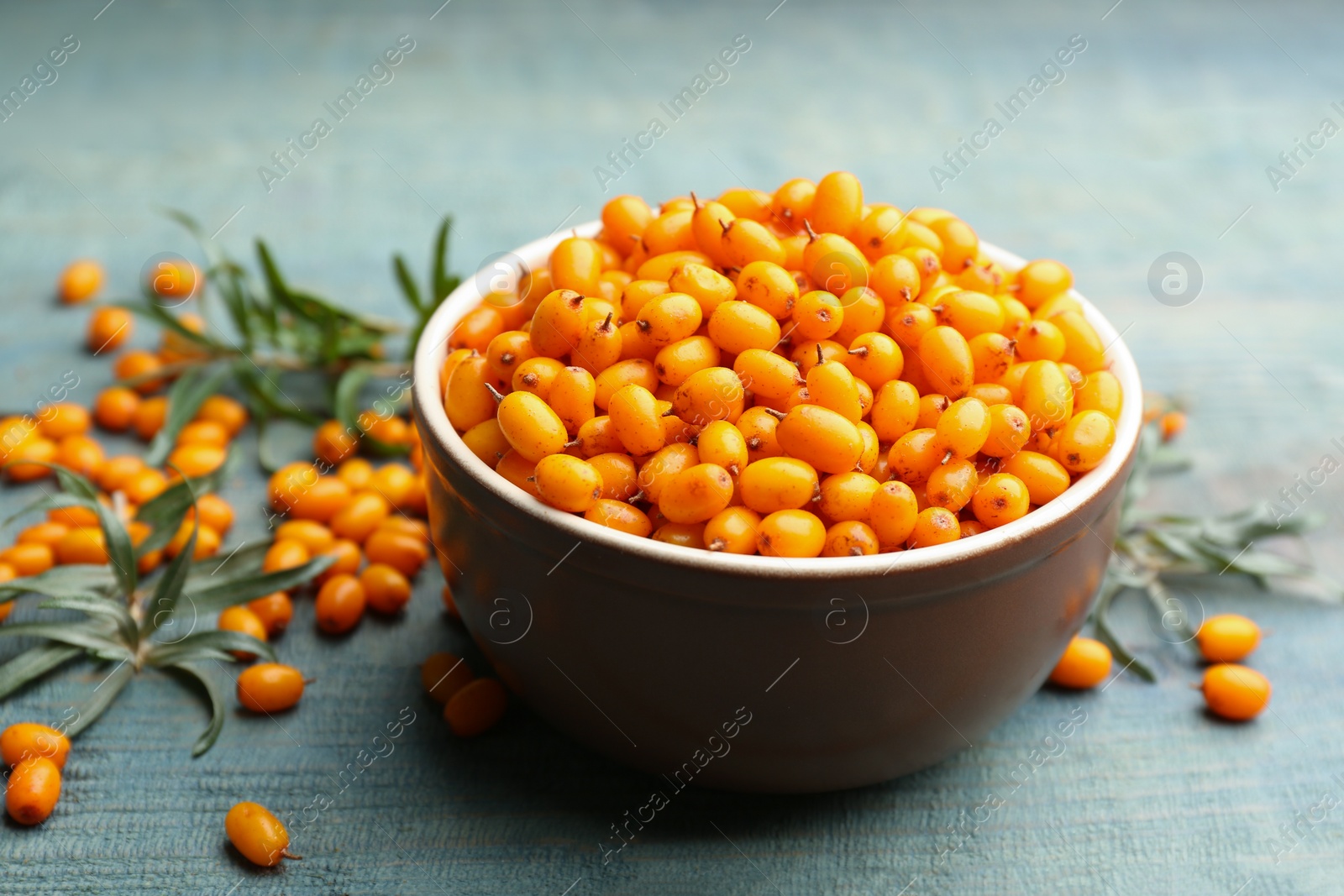 Photo of Ripe sea buckthorn berries on blue wooden table, closeup