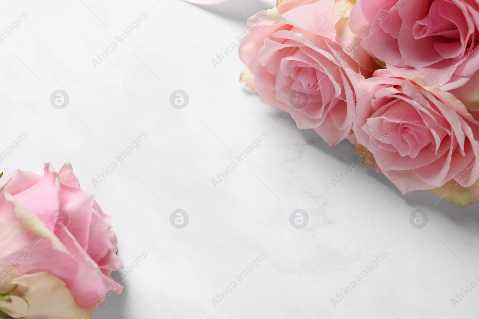 Photo of Beautiful roses on light pink marble table, space for text. Happy birthday greetings