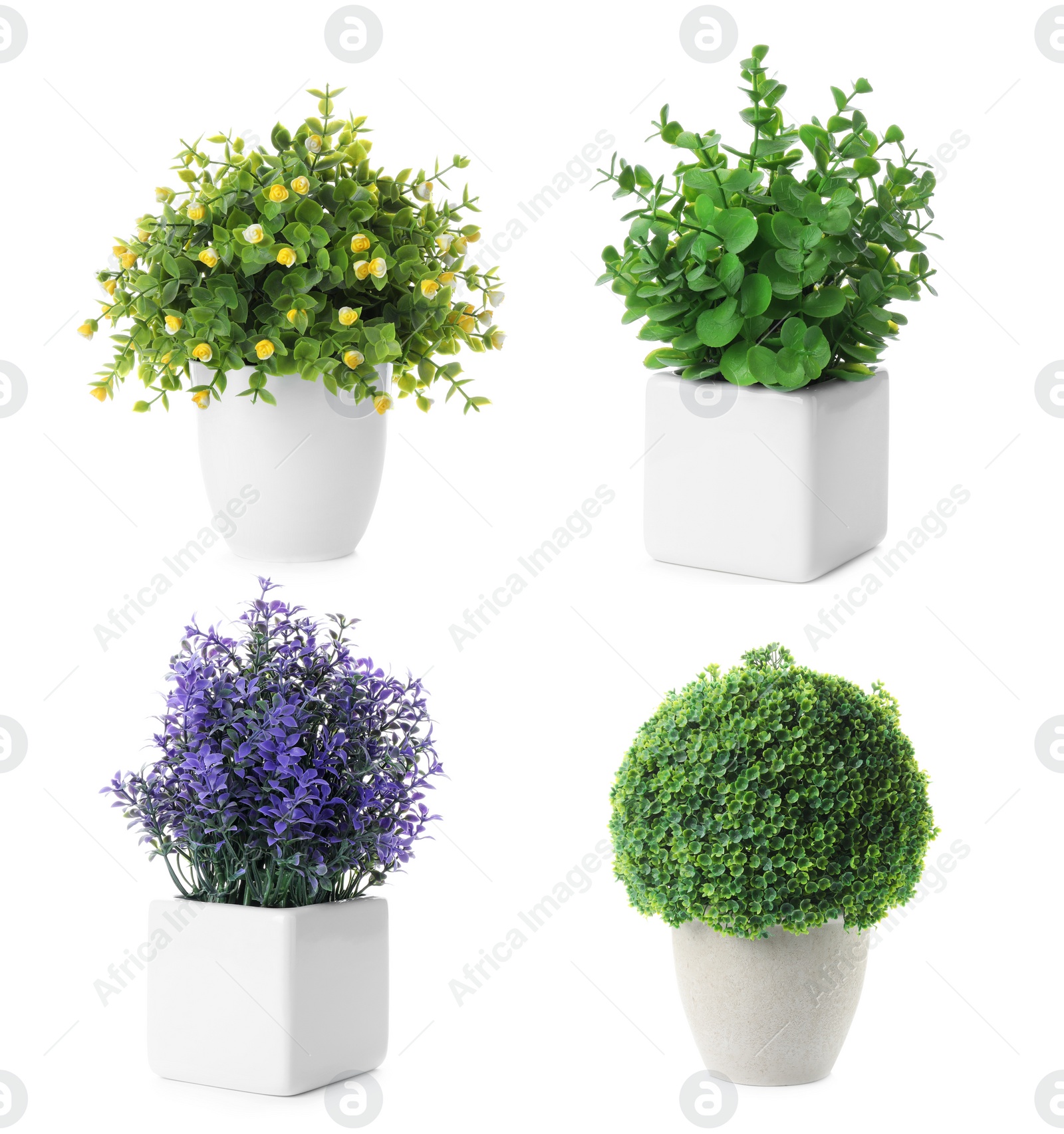 Image of Set of artificial plants in flower pots isolated on white