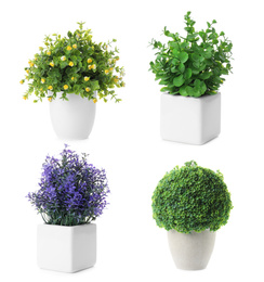 Image of Set of artificial plants in flower pots isolated on white