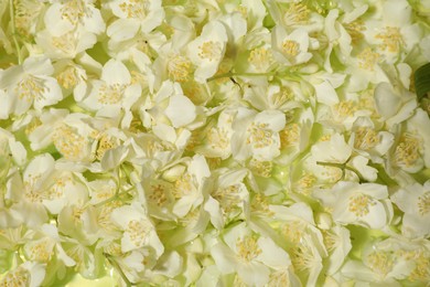 Beautiful jasmine flowers as background, top view