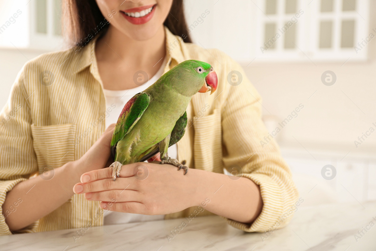 Photo of Young woman with Alexandrine parakeet indoors, closeup. Cute pet