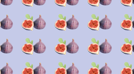 Pattern of cut and whole figs on periwinkle color background