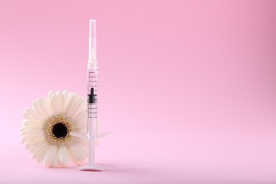 Cosmetology. Medical syringe and gerbera flower on pink background, space for text