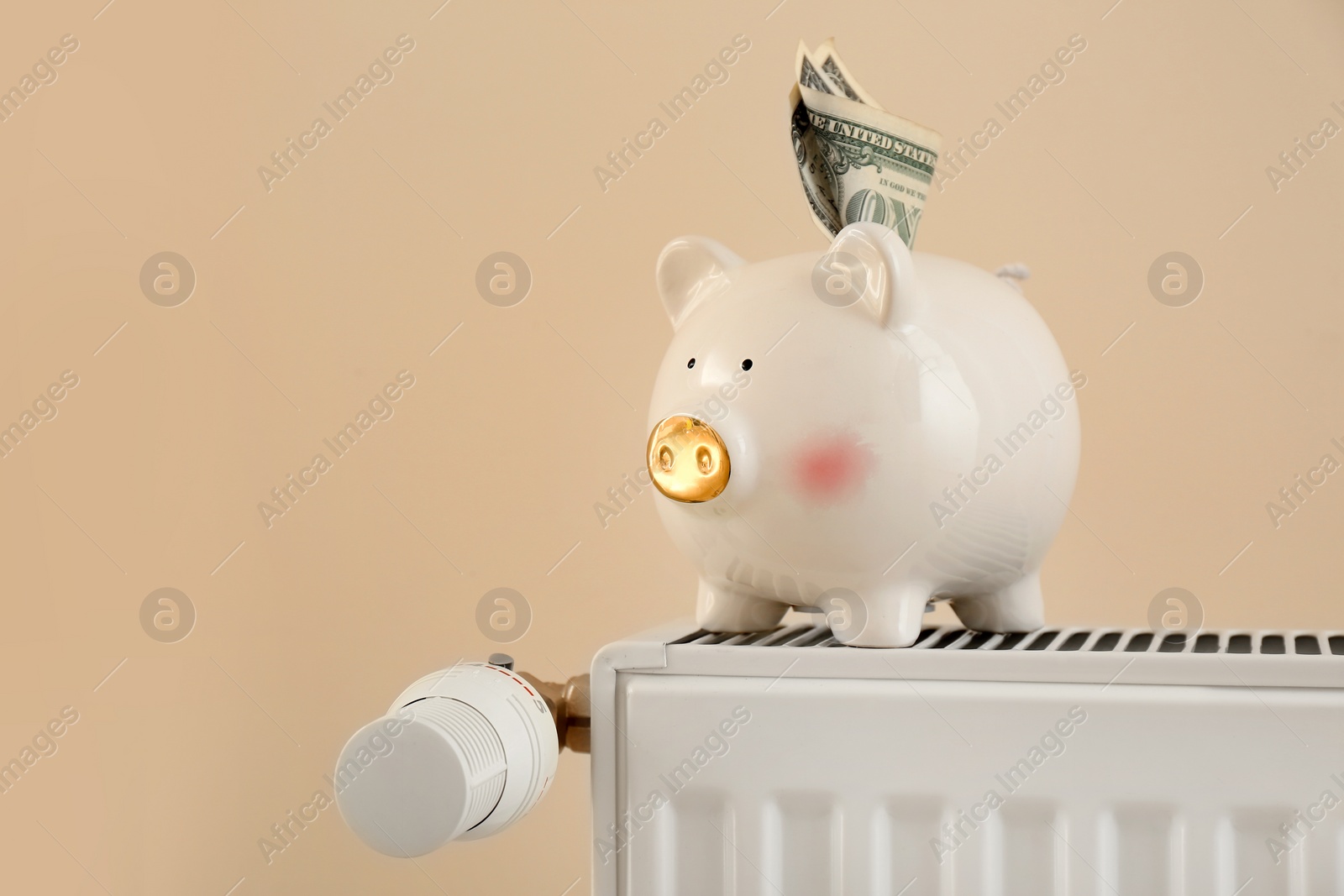 Photo of Piggy bank with money on heating radiator against light background