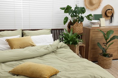 Comfortable bed and beautiful green houseplants in bedroom