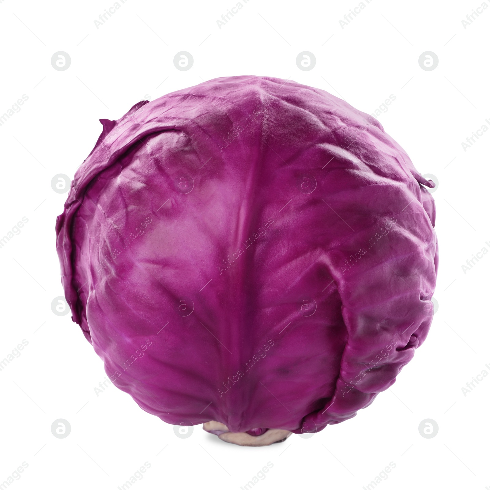 Photo of One fresh ripe red cabbage isolated on white