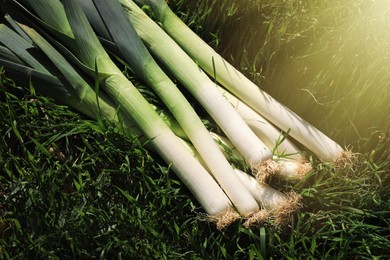 Photo of Fresh raw leeks on green grass outdoors, closeup