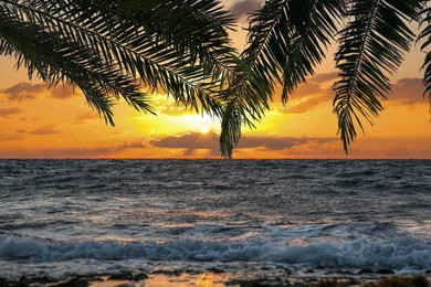 Image of Picturesque sunset on ocean, view through palm tree leaves