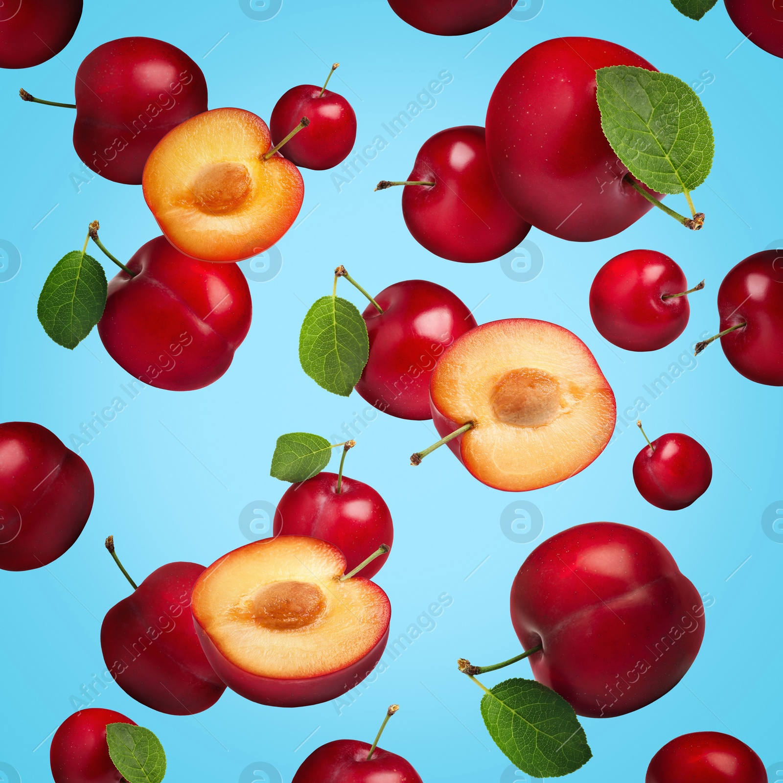 Image of Many fresh cherry plums falling on light blue background