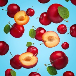 Many fresh cherry plums falling on light blue background