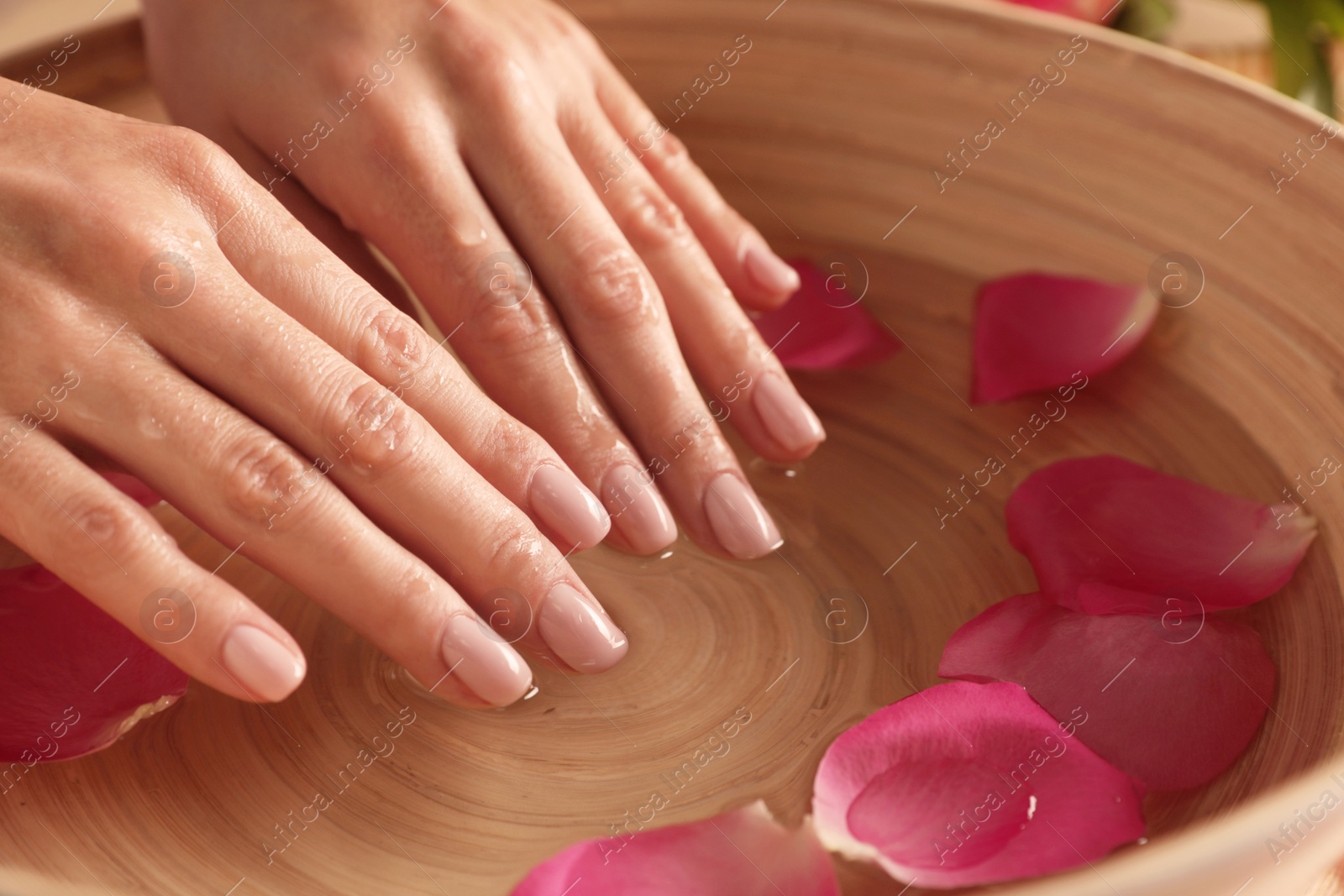 Photo of Woman soaking her hands in bowlwater and petals, closeup with space for text. Spa treatment