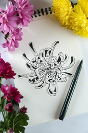 Photo of Drawing of chrysanthemum in sketchbook, flowers and pen on white background, top view
