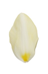 Photo of Beautiful fresh tulip petal isolated on white