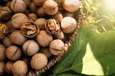 Photo of Wicker basket with walnuts on green grass outdoors, top view