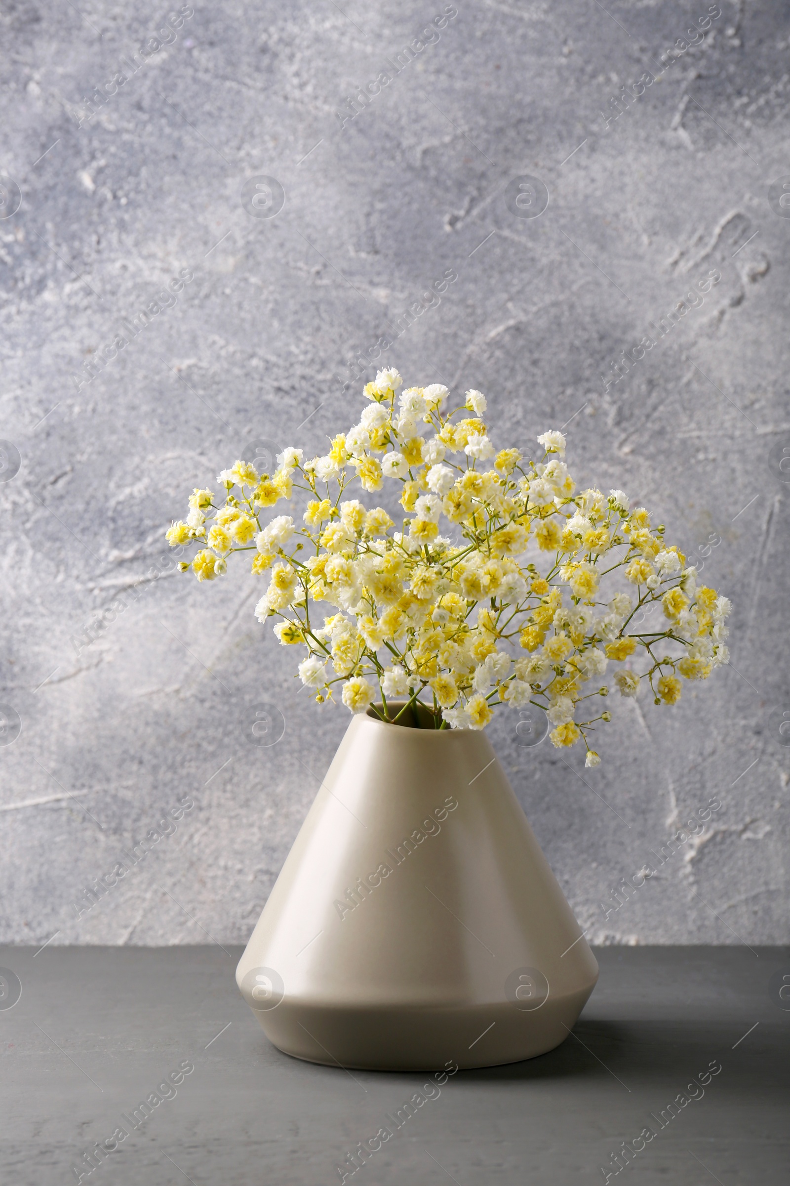 Photo of Beautiful dyed gypsophila flowers in stylish vase on grey table