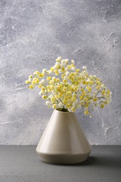 Beautiful dyed gypsophila flowers in stylish vase on grey table