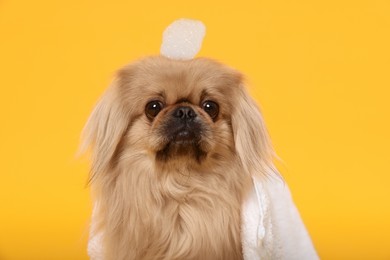 Photo of Cute Pekingese dog with towel and shampoo bubbles on yellow background. Pet hygiene