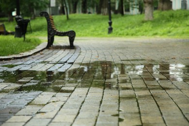Photo of Puddle of rain water on paved pathway in park