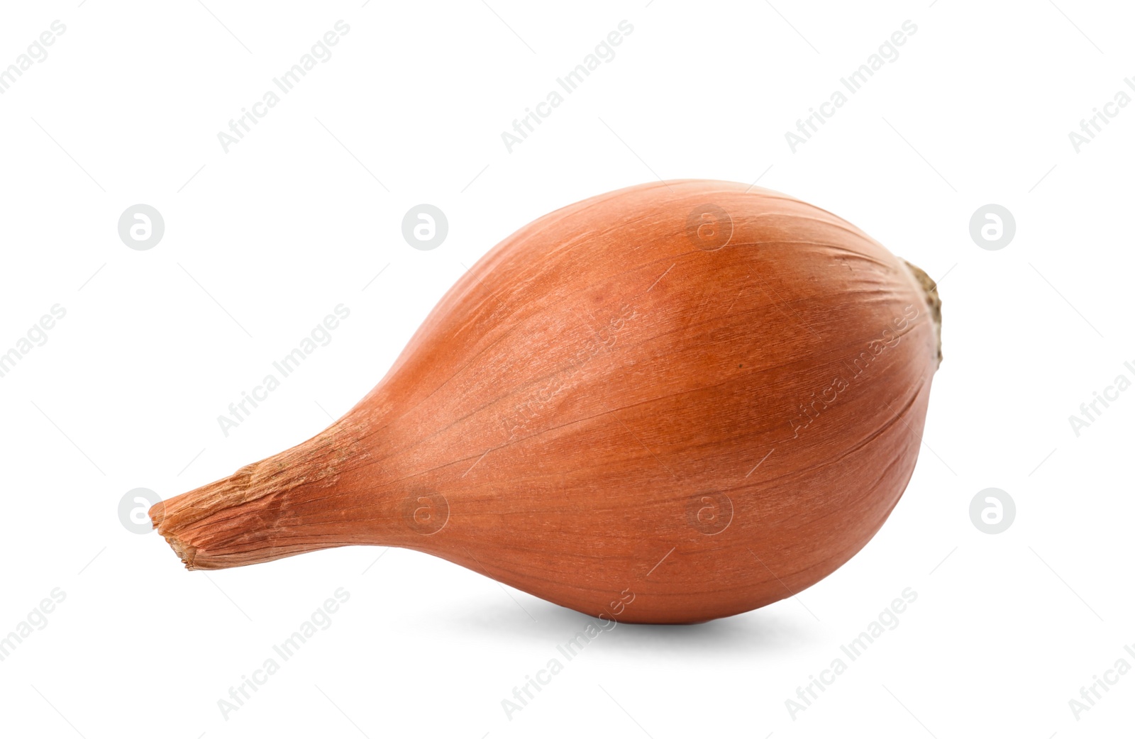 Photo of Fresh ripe onion on white background