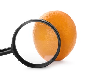 Photo of Cellulite problem. Orange and magnifying glass isolated on white