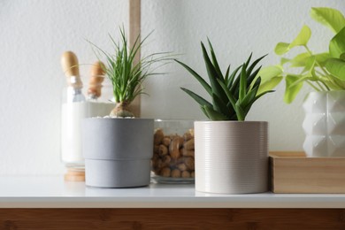 Photo of Many beautiful potted plants on table indoors. Floral house decor