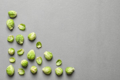 Tasty fresh Brussels sprouts on grey background, top view with space for text