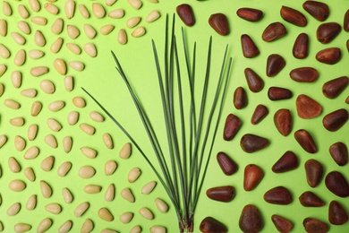 Flat lay composition with pine nuts on color background