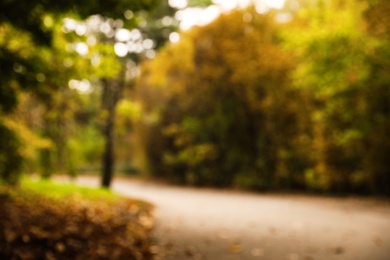 Blurred view of beautiful park with trees on autumn day