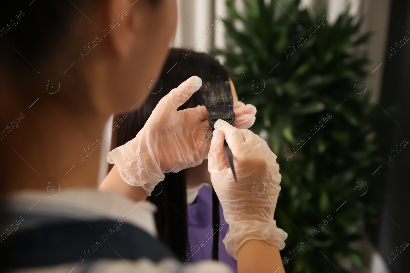 Photo of Professional hairdresser dying hair in beauty salon, closeup