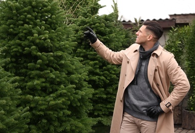 Man choosing plants at Christmas tree farm. Space for text