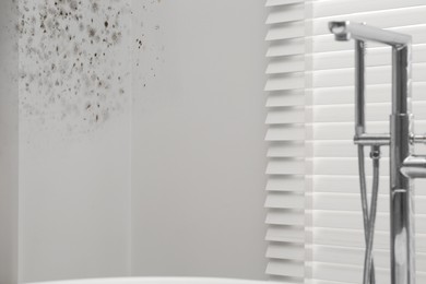 Image of White walls affected with mold in bathroom