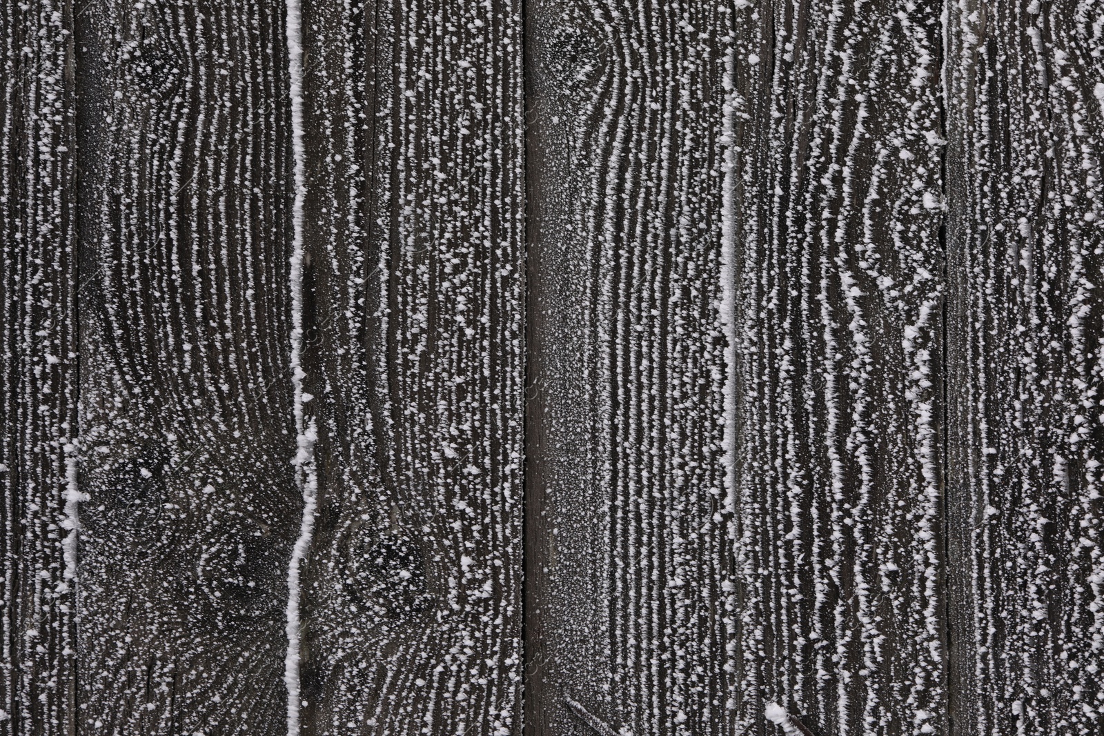 Photo of Wooden wall covered with hoarfrost on snowy day, closeup