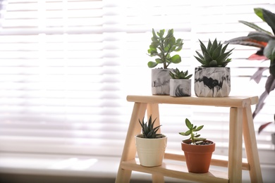 Photo of Beautiful potted succulents on wooden stand indoors. Space for text